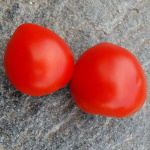 Sibirskij Izobilny Artikelbild